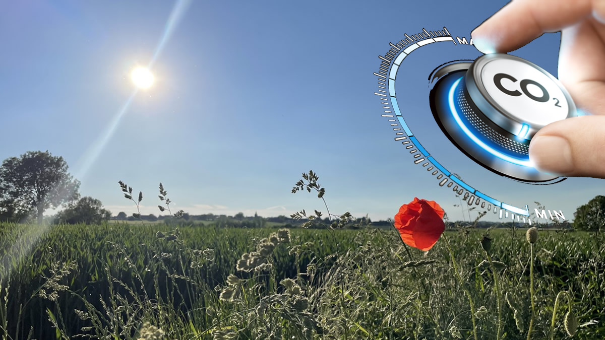 We are living the transition today – ‘Fit for 55%’ must deliver Just Transition urgently