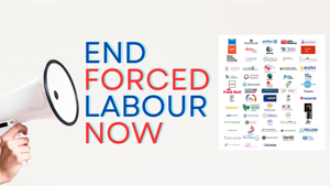 MEPs: the time to end forced labour is now!