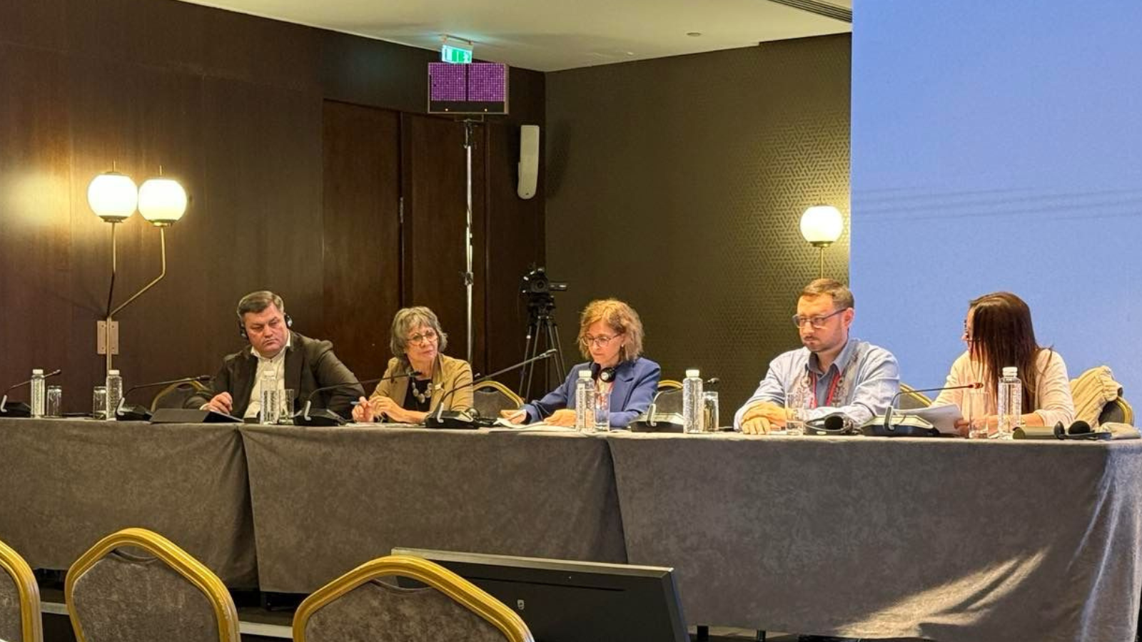 Embedding Social Dialogue at the Heart of EU Enlargement