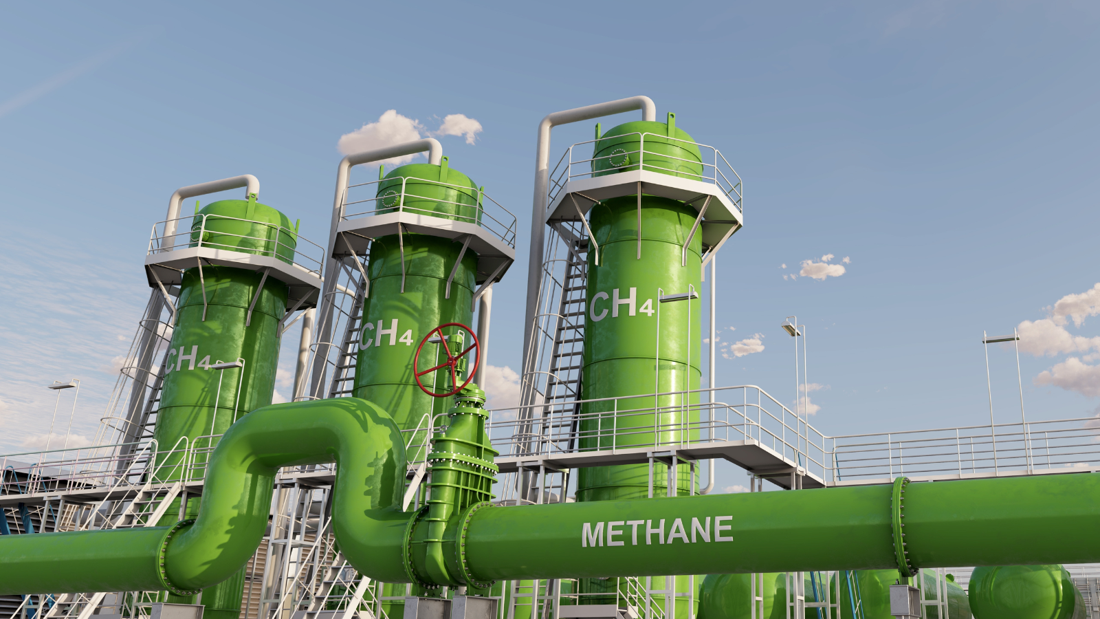 Shaping a Fair Bioeconomy: A Strategy for Industry and Workers