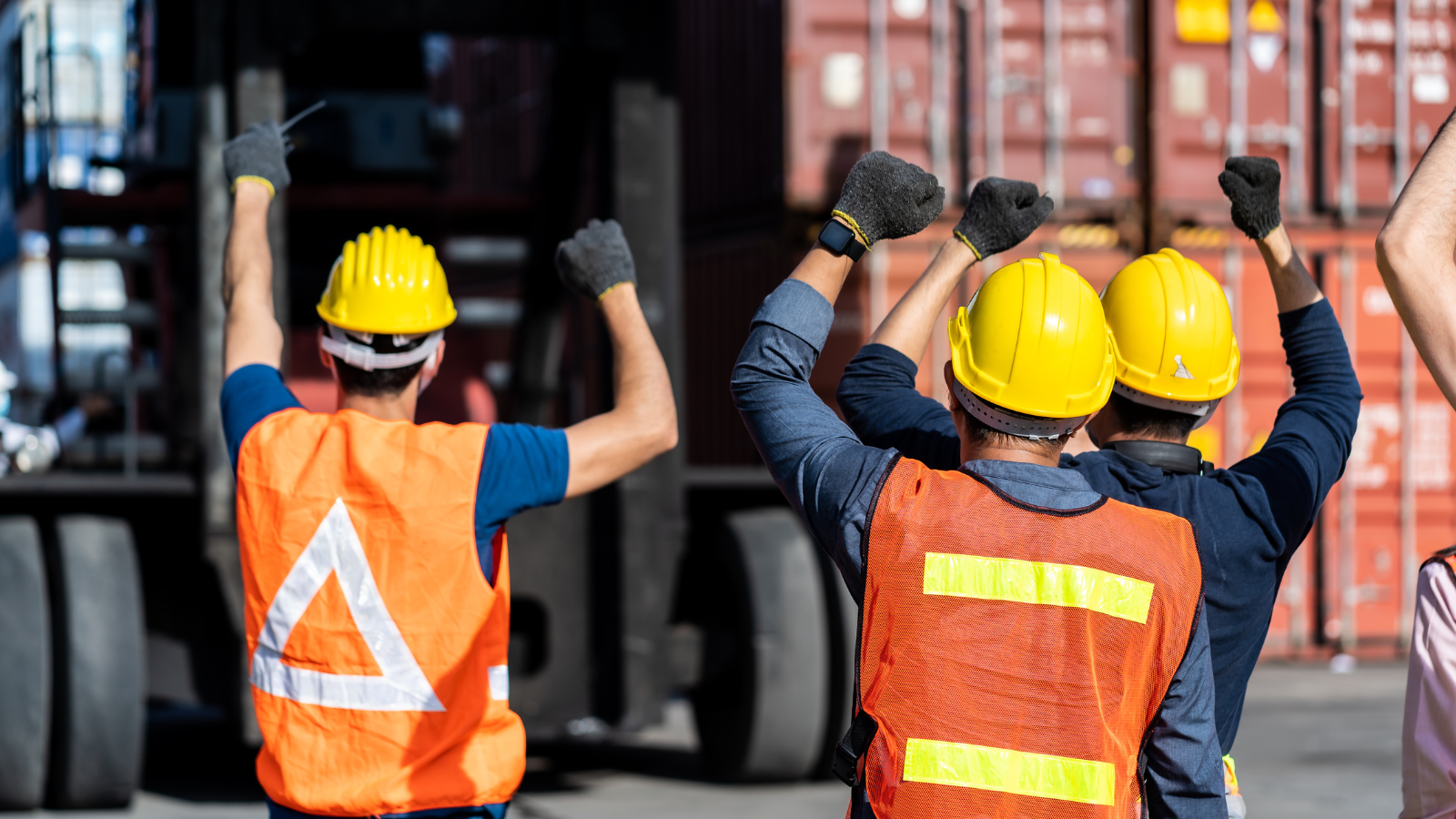 Don't Mourn, Organise: Europe's Path Through Global Turbulence